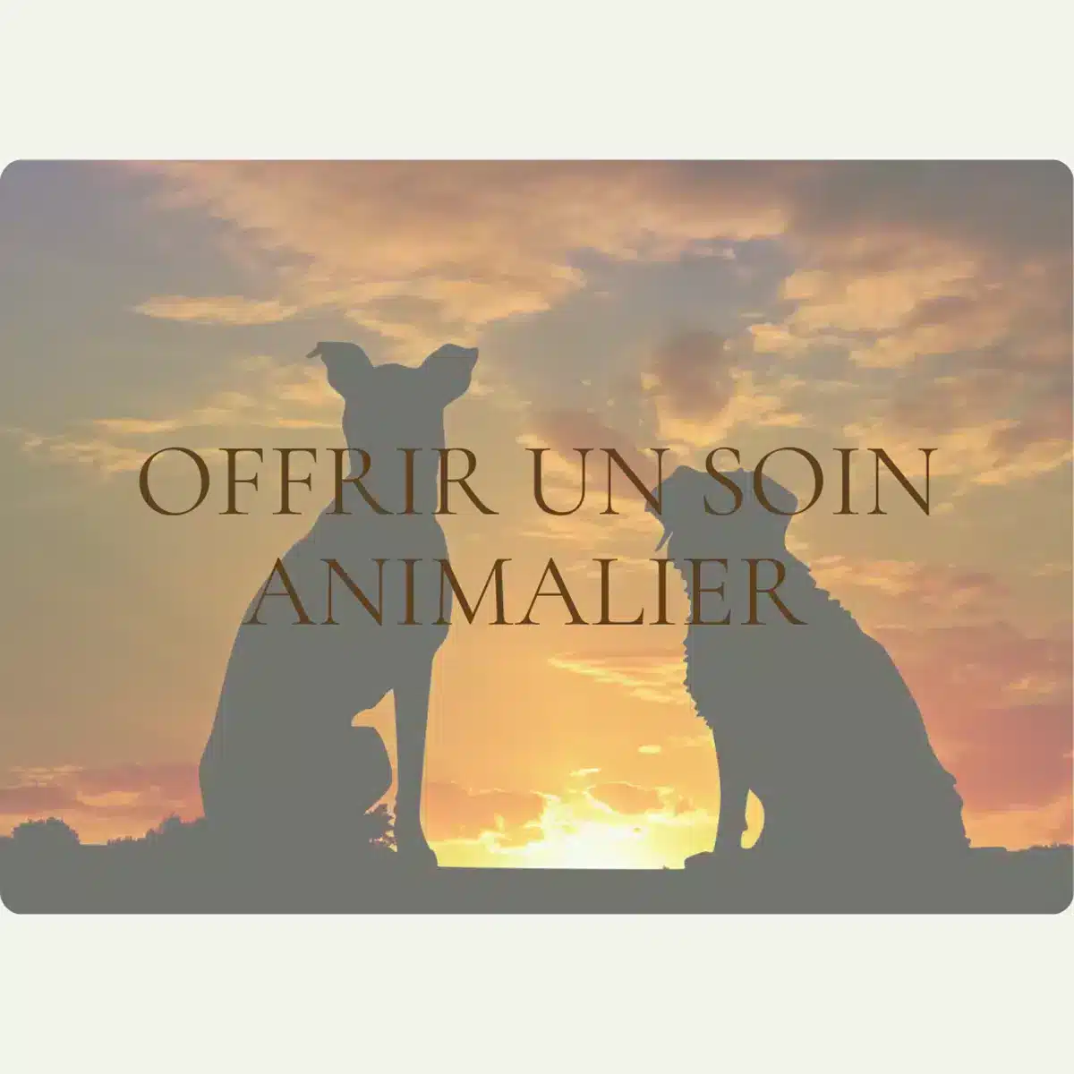 OFFRIR UN SOIN ANIMALIER